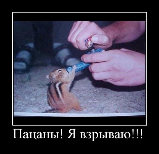 Демотиваторы понедельника (2 фото)