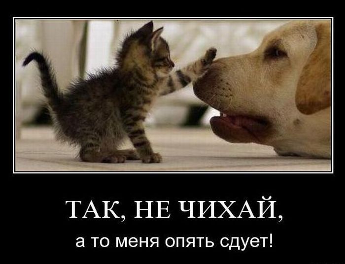 Демотиваторы понедельника (2 фото)