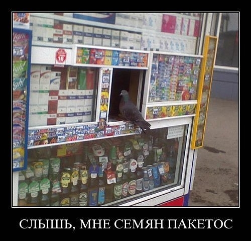 Демотиваторы понедельника (2 фото)