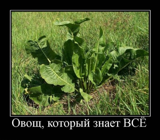 Демотиваторы понедельника (2 фото)