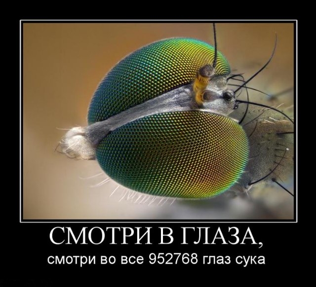 Демотиваторы среды (30 фото)