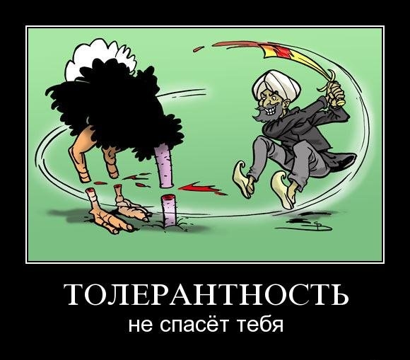 Демотиваторы среды (30 фото)