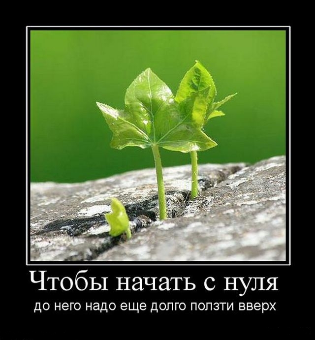 Демотиваторы понедельника (2 фото)