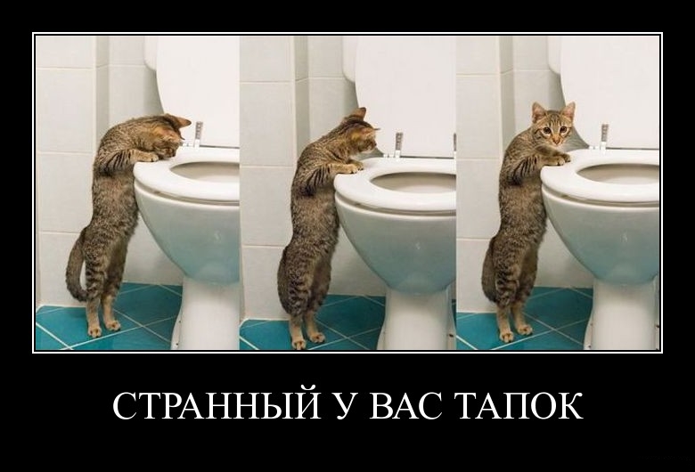 Демотиваторы среды (29 фото)