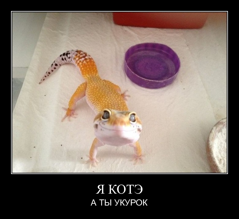 Демотиваторы среды (29 фото)