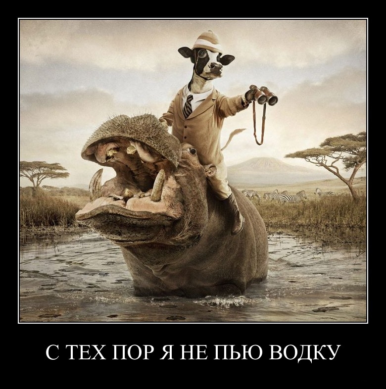 Демотиваторы среды (29 фото)