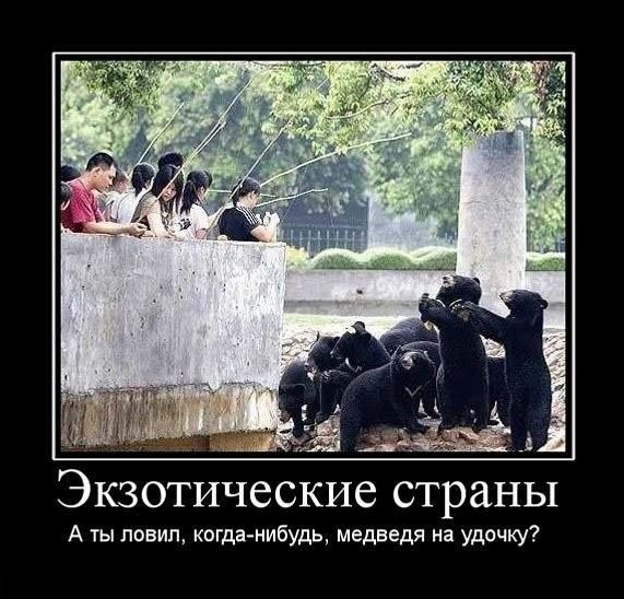 Демотиваторы четверга (29 фото)