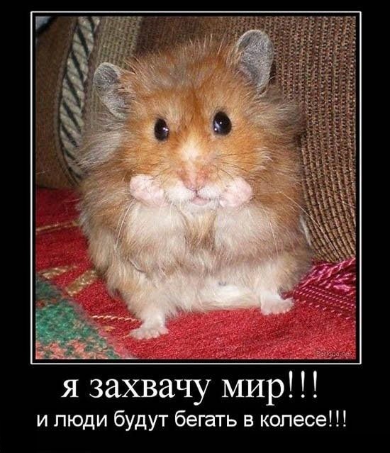 Демотиваторы четверга (29 фото)