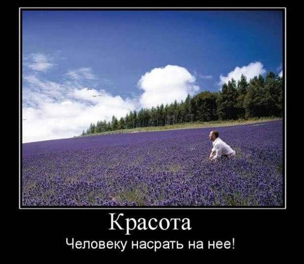 Демотиваторы четверга (29 фото)