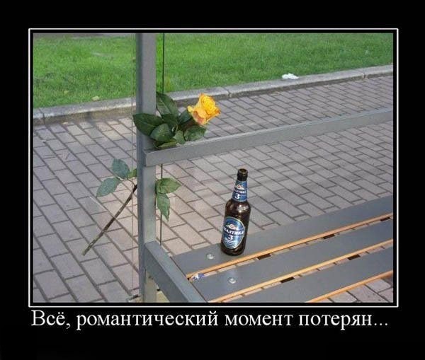 Демотиваторы четверга (29 фото)