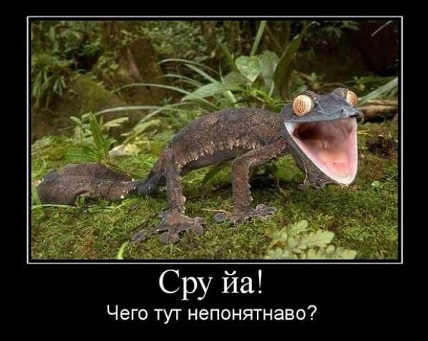 Демотиваторы четверга (29 фото)