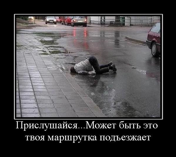 Демотиваторы четверга (29 фото)