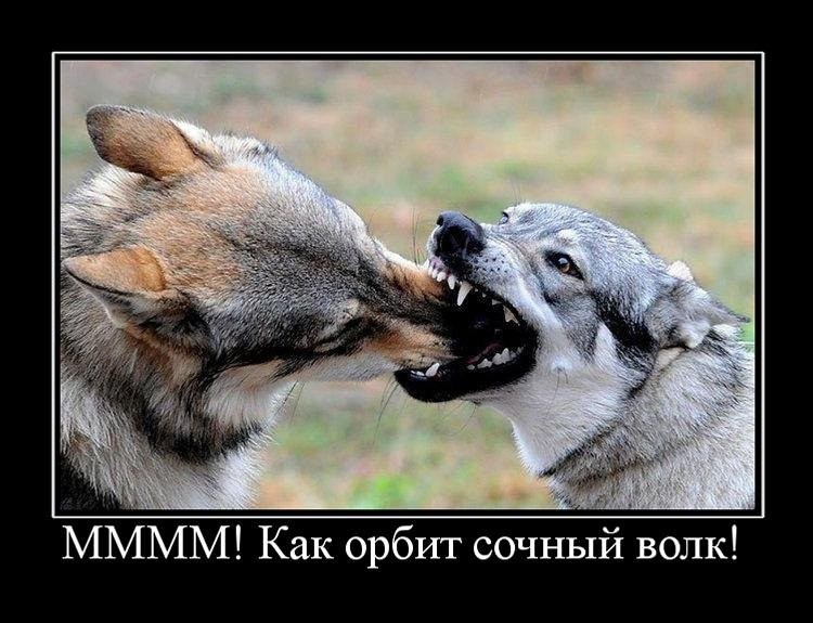 Демотиваторы четверга (29 фото)