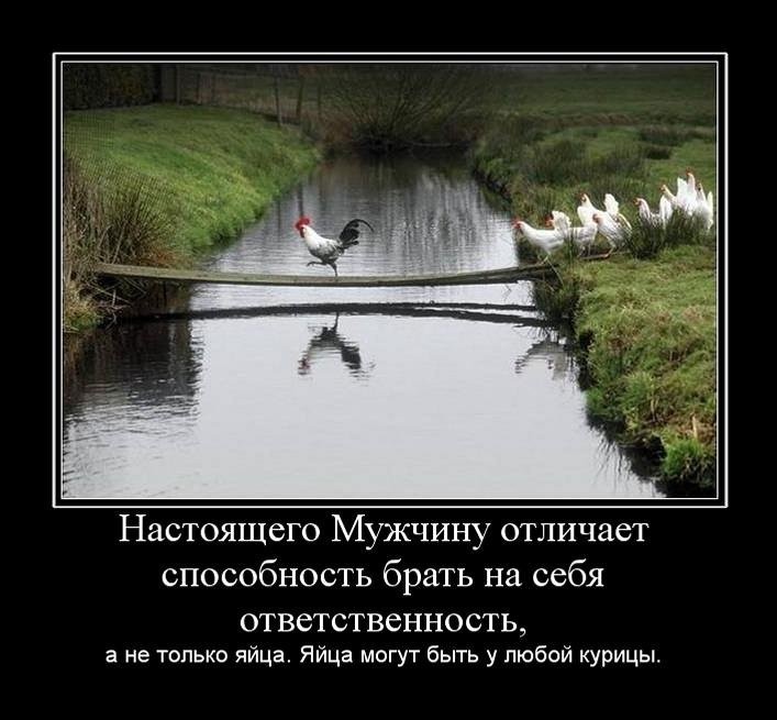Демотиваторы четверга (29 фото)