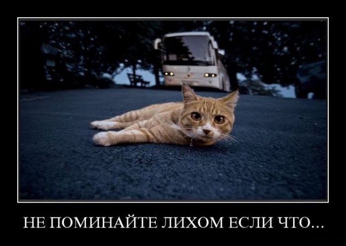 Демотиваторы четверга (29 фото)
