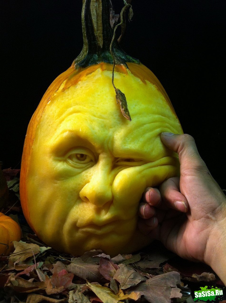  (   )