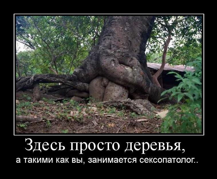 Демотиваторы среды (29 фото)