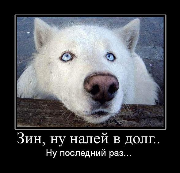 Демотиваторы среды (29 фото)