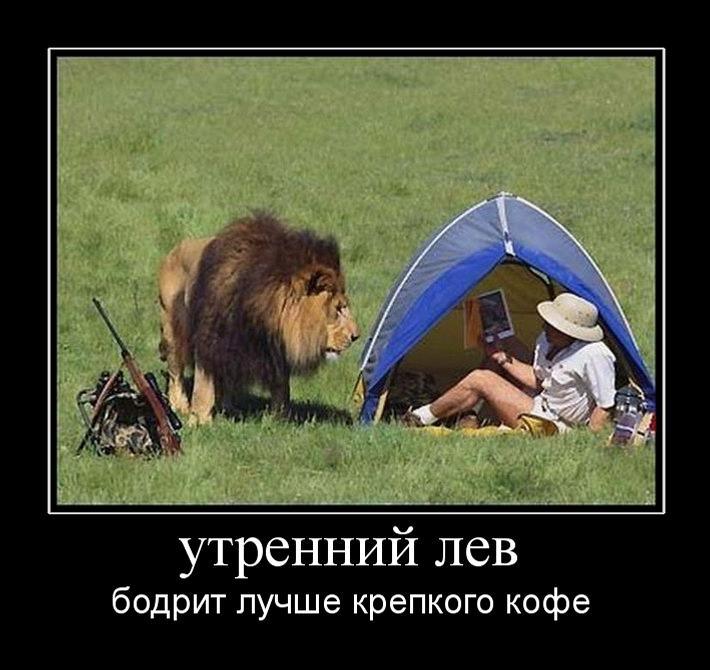 Демотиваторы среды (29 фото)