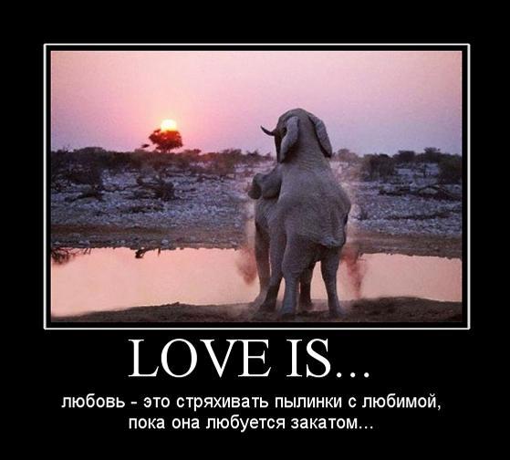 Демотиваторы среды (29 фото)