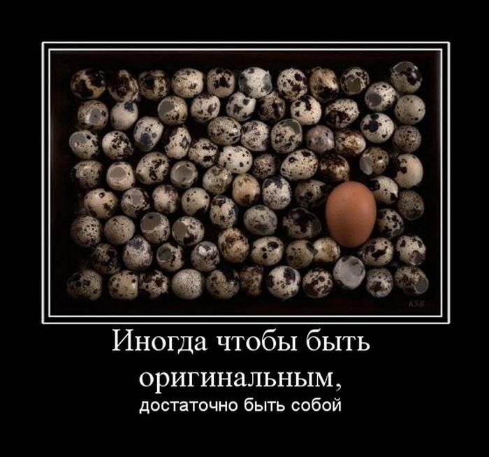 Демотиваторы понедельника (29 фото)