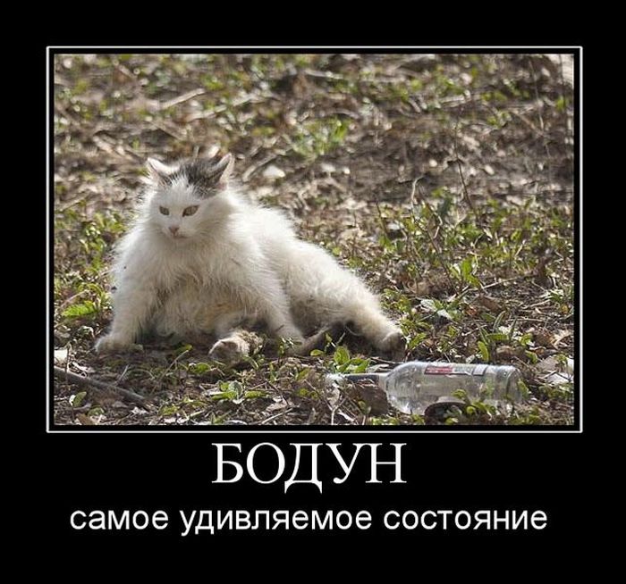 Демотиваторы понедельника (29 фото)