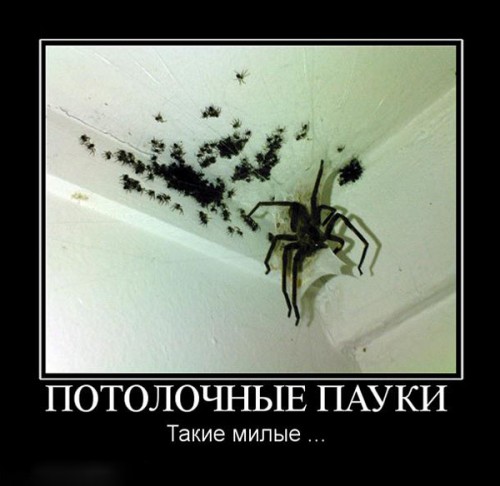 Демотиваторы понедельника (29 фото)