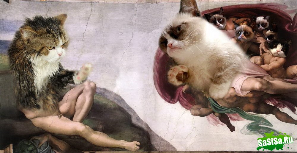  (   )