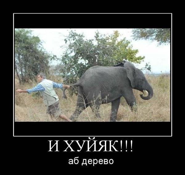 ������������ ����� (29 ����)