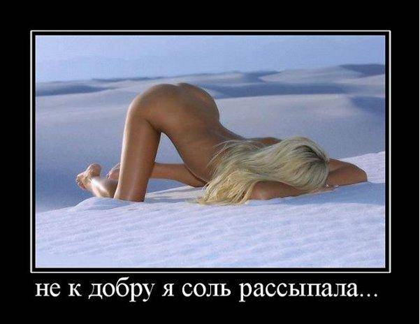������������ ����� (29 ����)
