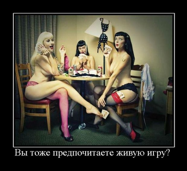 ������������ ����� (29 ����)