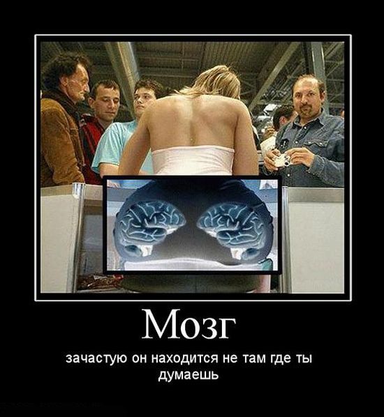 ������������ ����� (29 ����)