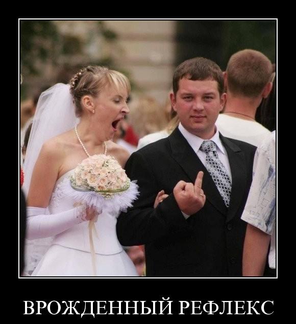 Демотиваторы вторника (29 фото)