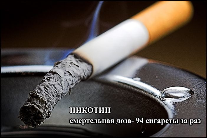 Летальные дозы привычных вещей (8 фото)