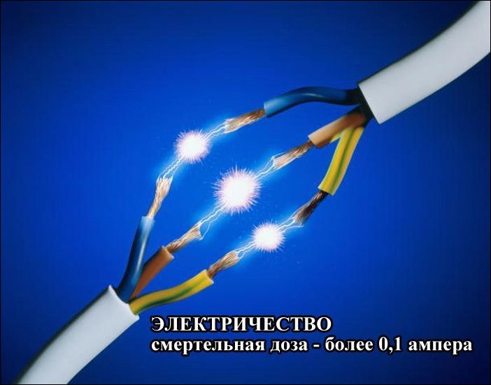 Летальные дозы привычных вещей (8 фото)