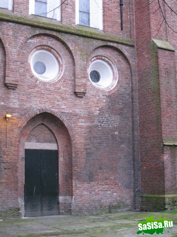  (   )