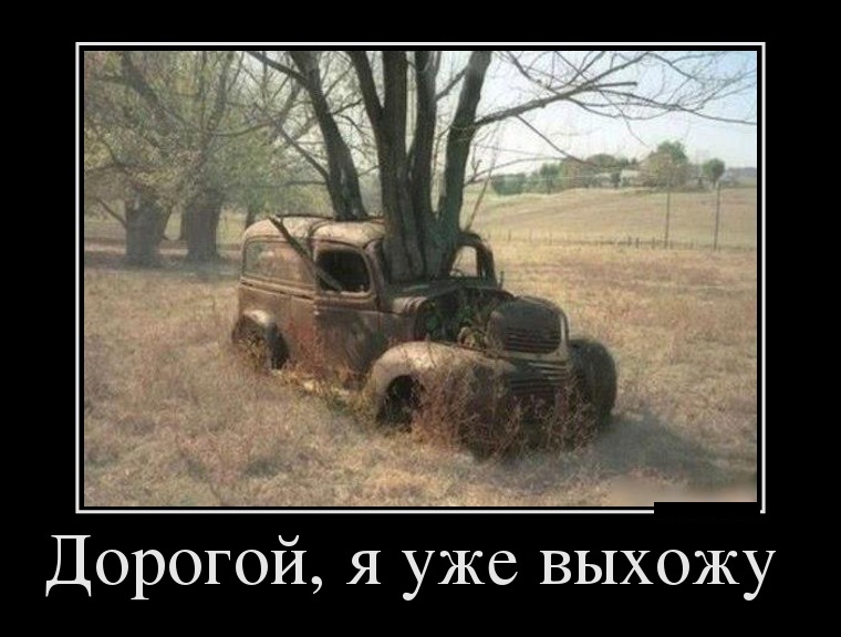 Демотиваторы четверга (29 фото)