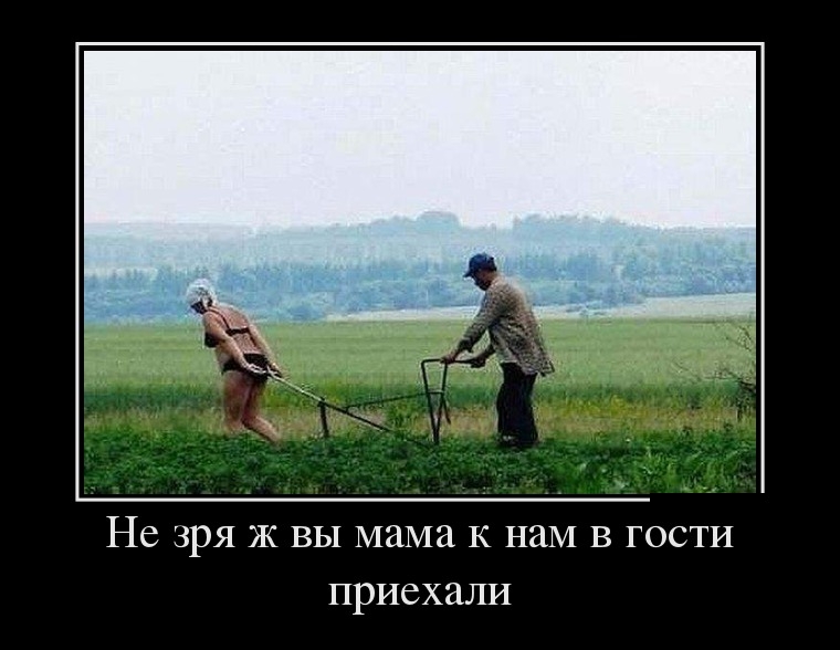 Демотиваторы четверга (29 фото)