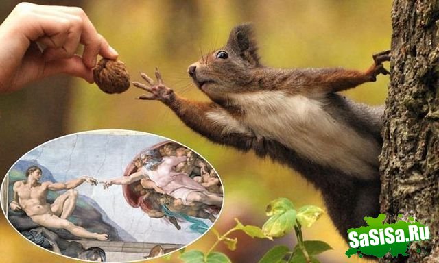 Фотоподборка (дальше в развёрнутом виде)