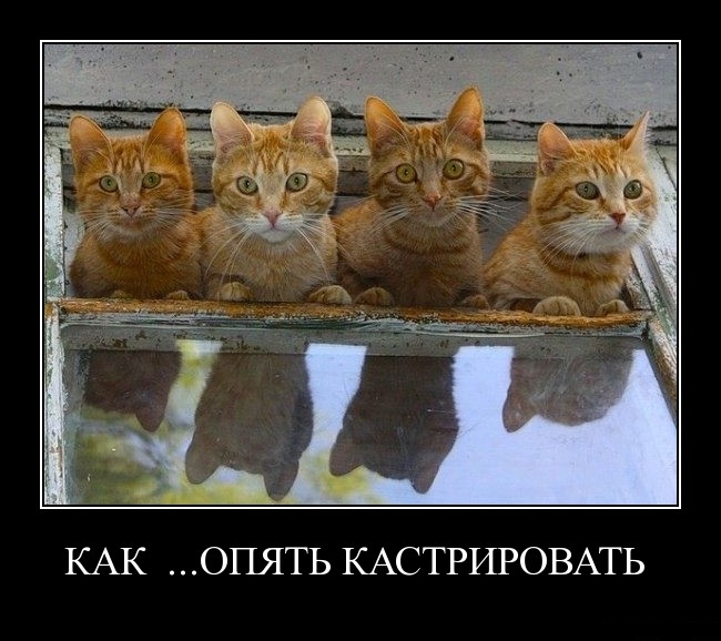 Демотиваторы пятницы (29 фото)