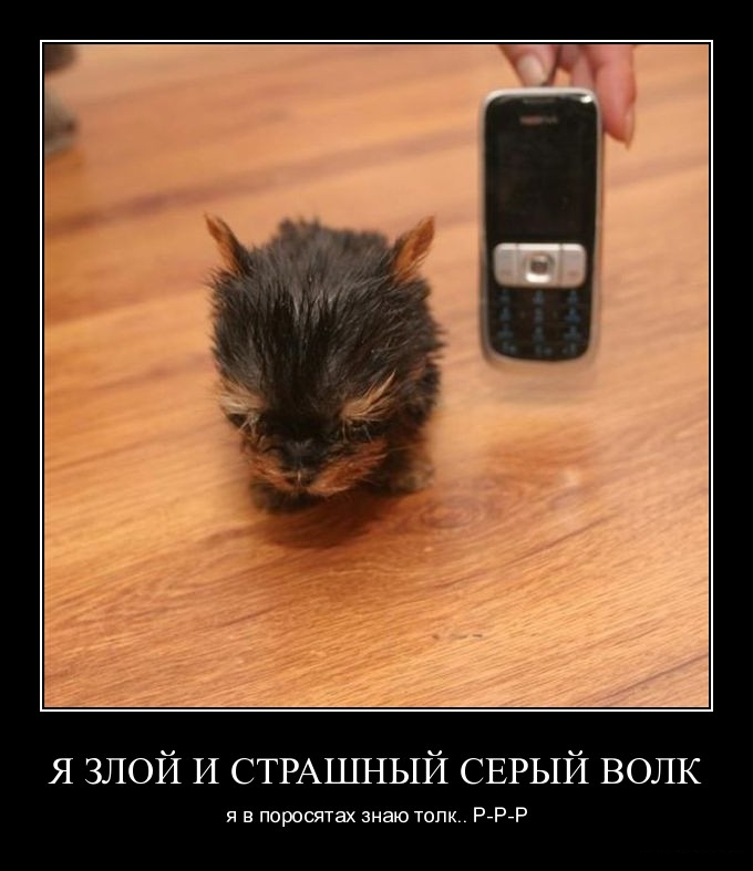 Демотиваторы пятницы (29 фото)