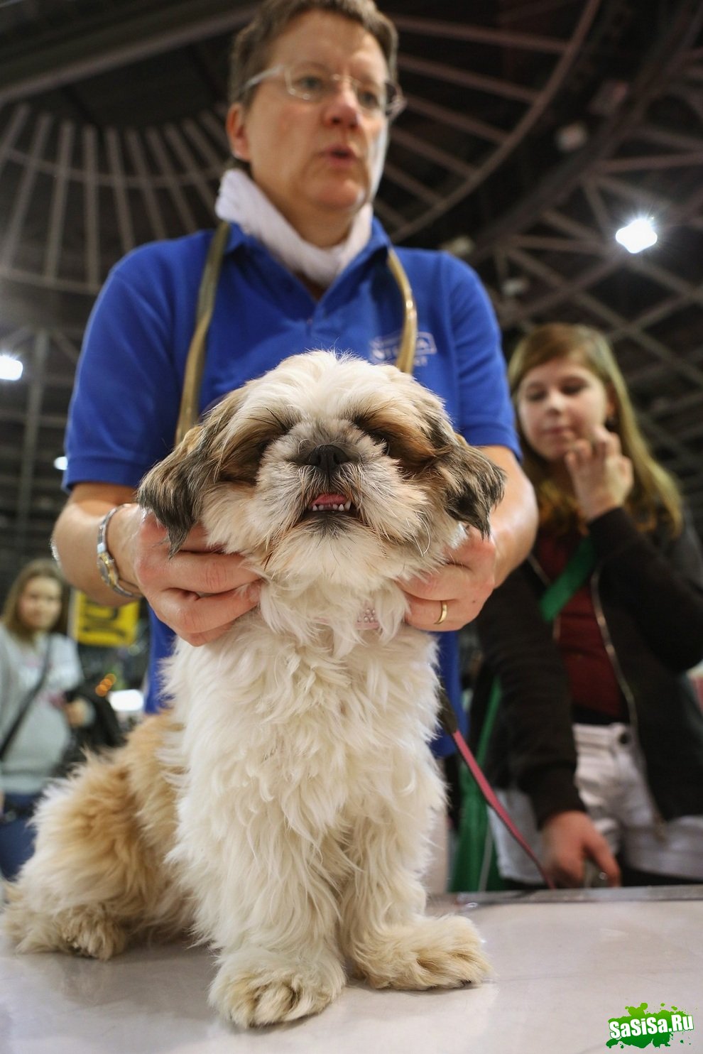   Heimtiermesse Berlin 2012 (14 )