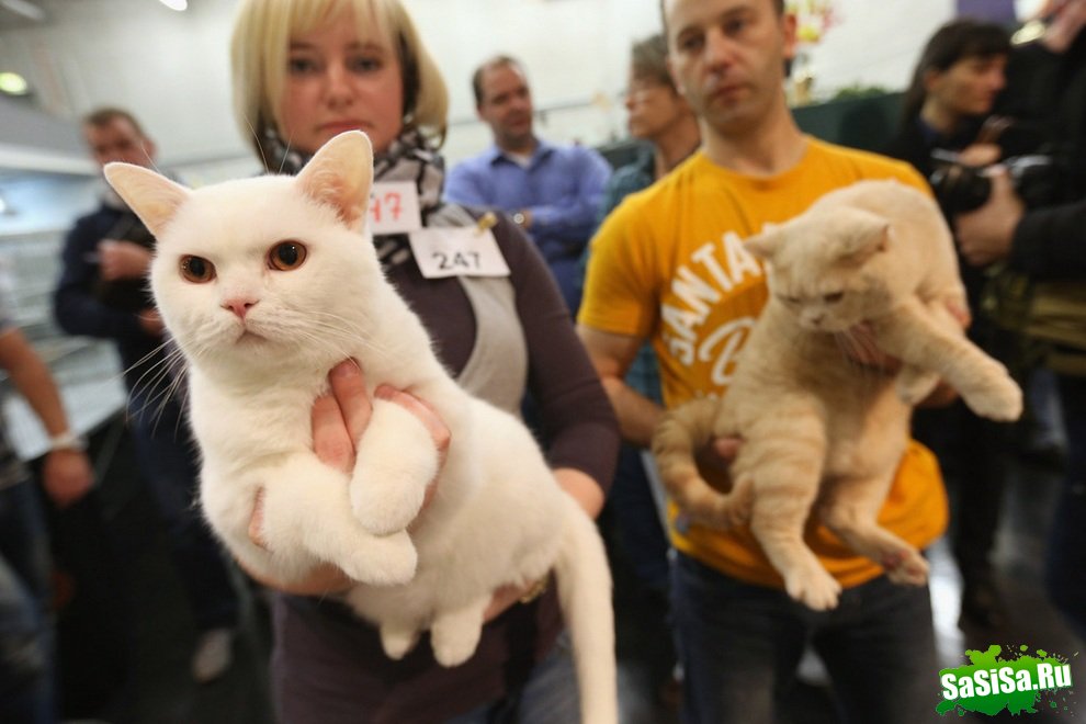   Heimtiermesse Berlin 2012 (14 )
