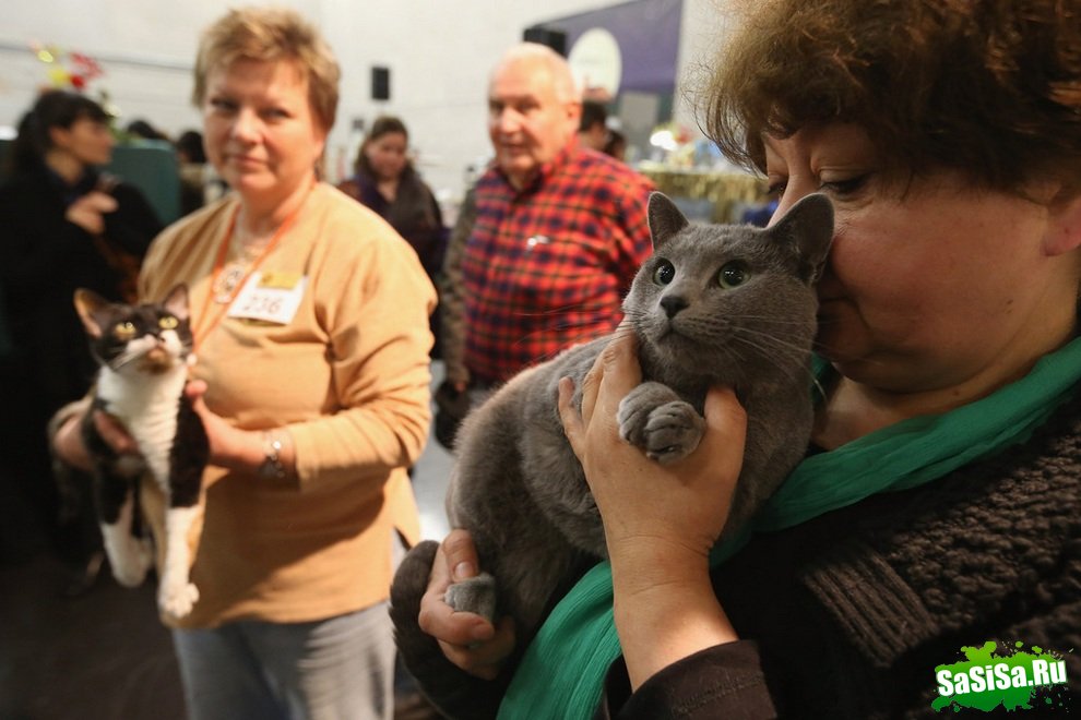  Heimtiermesse Berlin 2012 (14 )