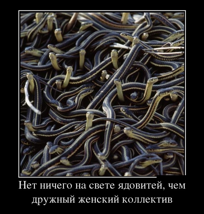Демотиваторы понедельника (29 фото)