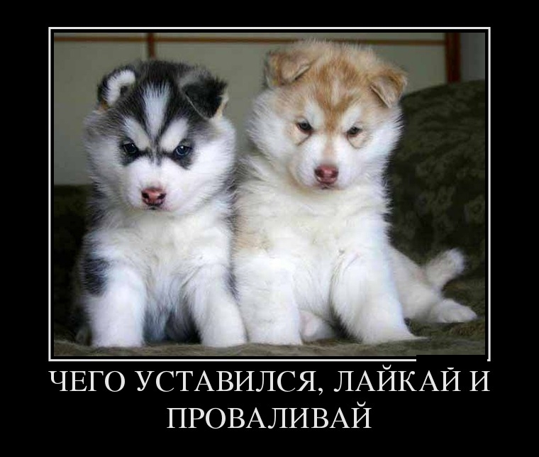 Демотиваторы понедельника (29 фото)