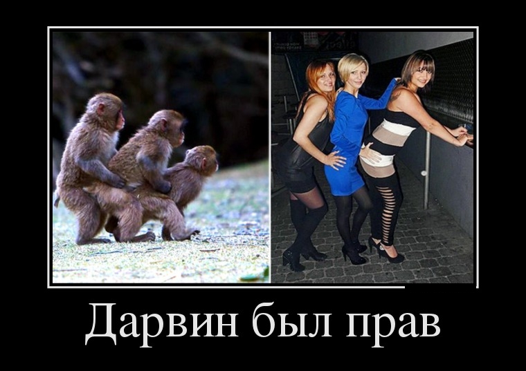 Демотиваторы понедельника (29 фото)