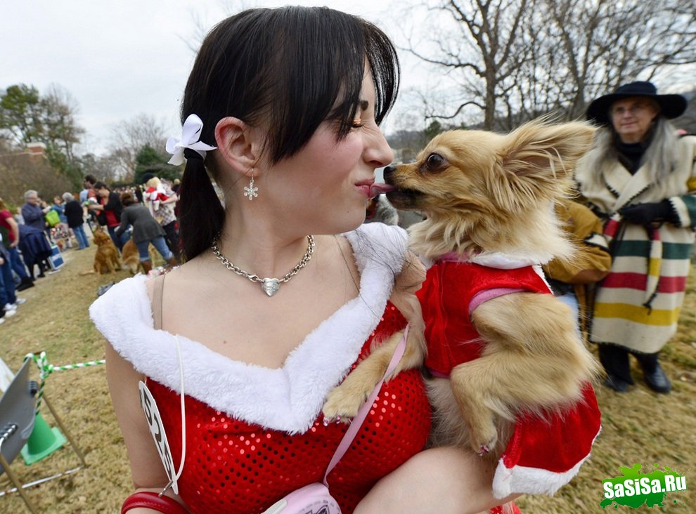 Reindog Parade 2012:      (9 )