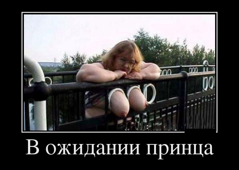 ������������ ����� (28 ����)