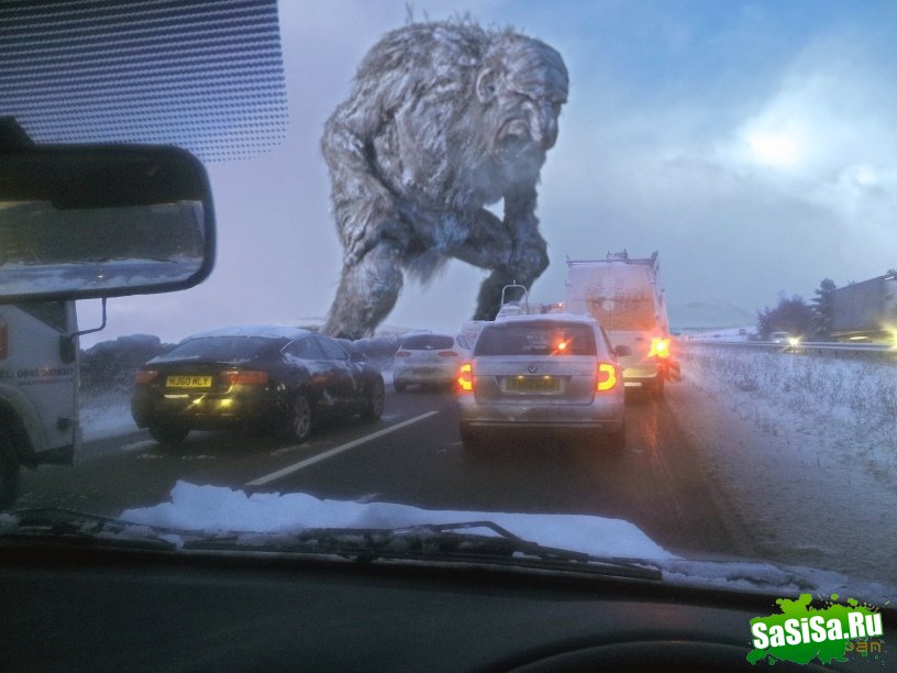 Фотоподборка (дальше в развёрнутом виде)